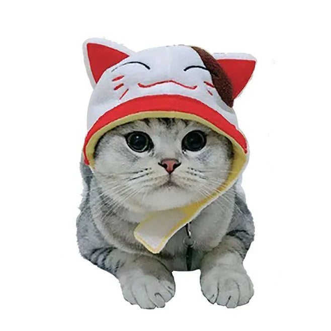 Pet Party Hat for Cats and Small Dogs, 20+ Designs