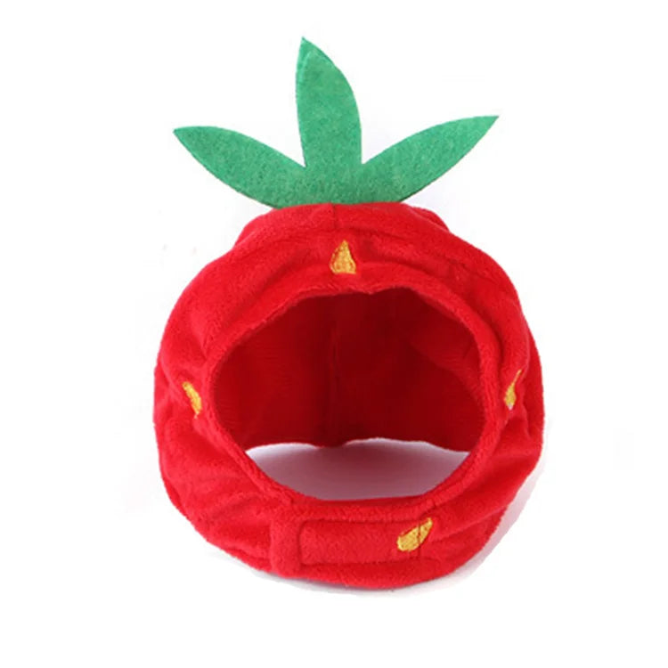 Pet Party Hat for Cats and Small Dogs, 20+ Designs