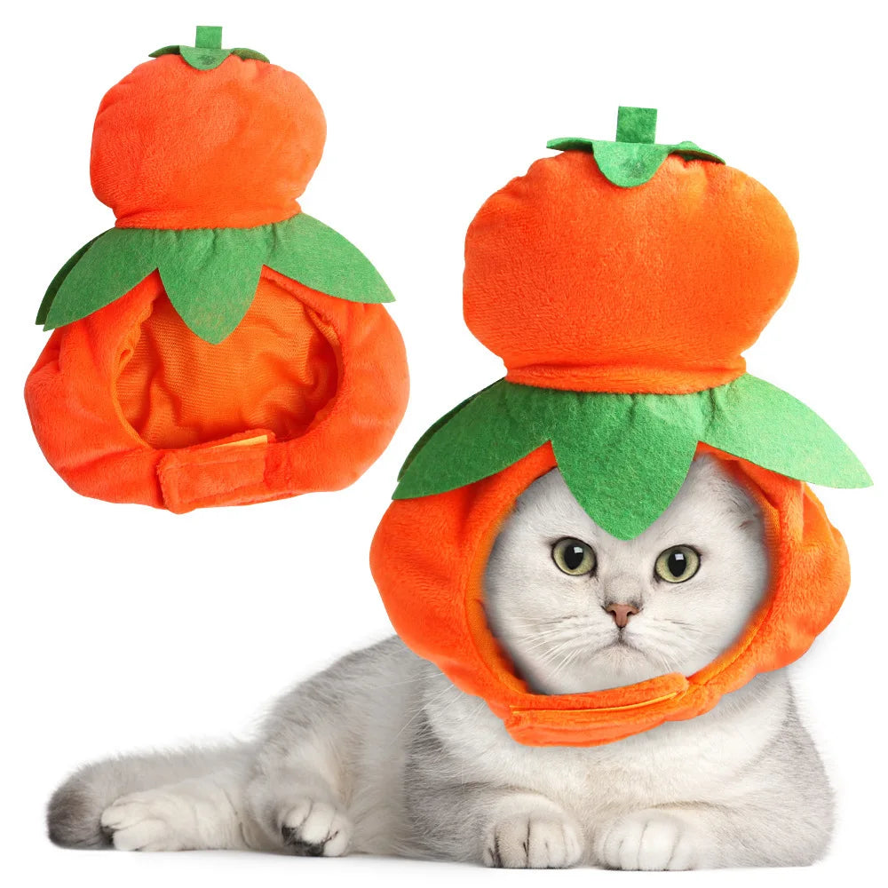 Pet Party Hat for Cats and Small Dogs, 20+ Designs