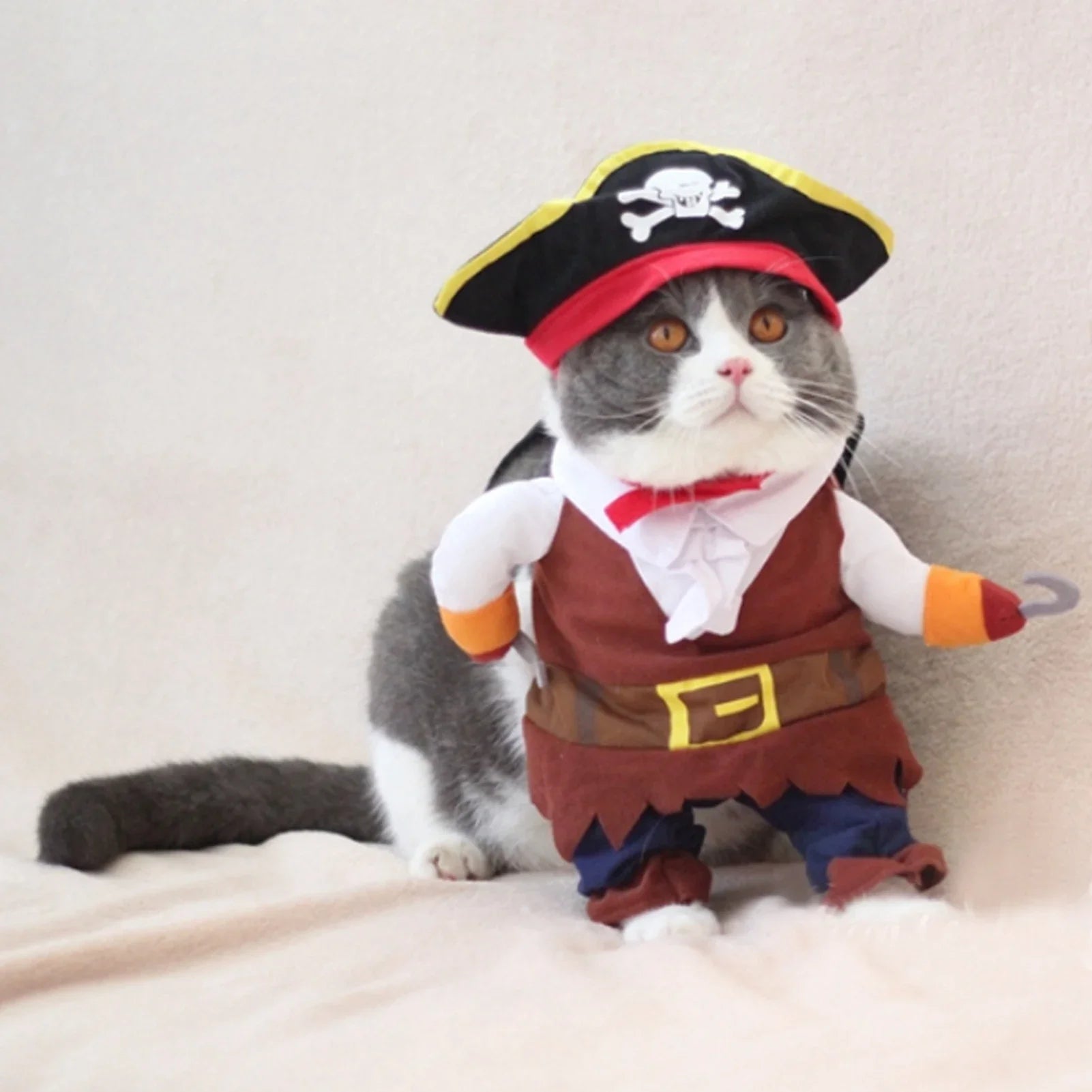 Pirate Costume for Cats and Small Dogs