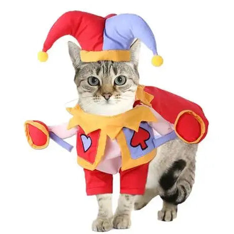 Jester Costume for Cats and Small Dogs