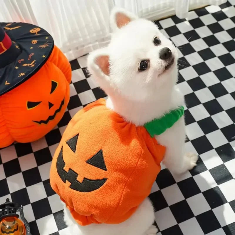 Pumpkin Hoodie Costume for Dogs and Cats