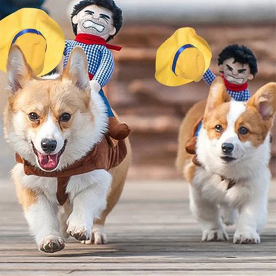 Cowboy Jacket and Hat Costume for Dogs