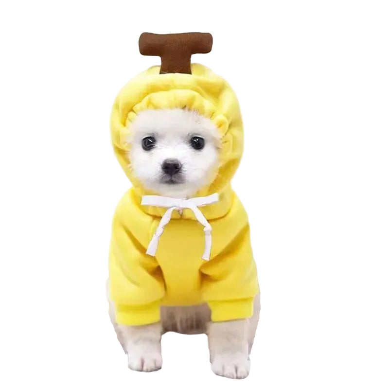 Fruit Dog Hoodie: Apple, Carrot or Pear