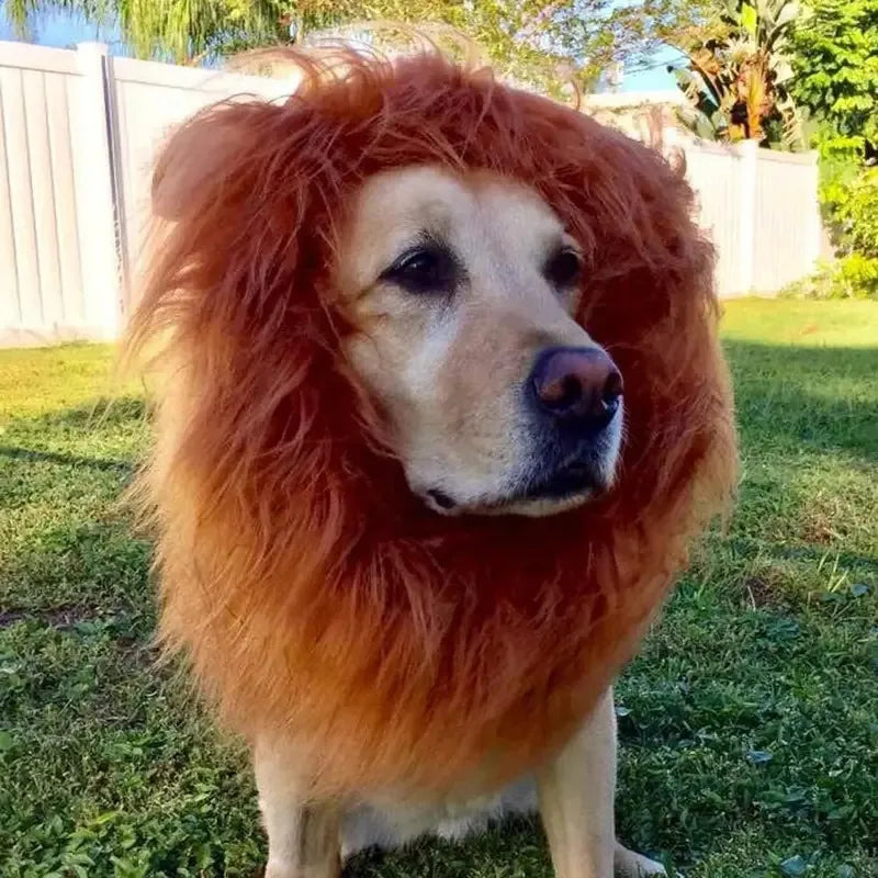 Lion Mane Costume for Medium and Large Dogs