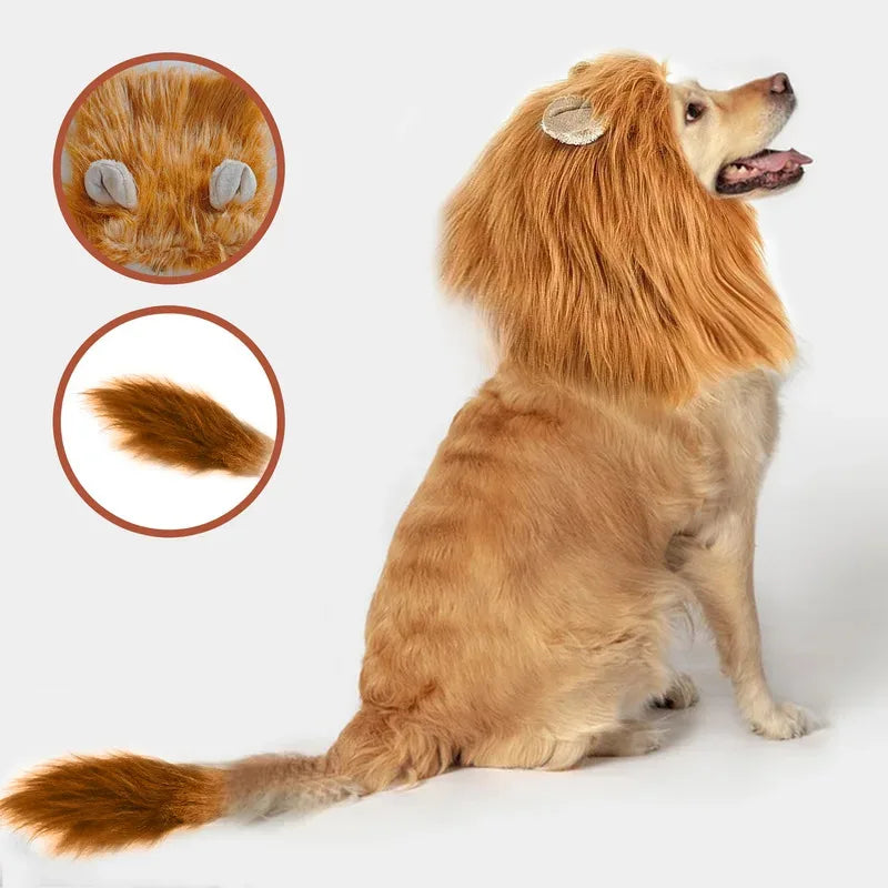 Lion Mane Costume for Medium and Large Dogs