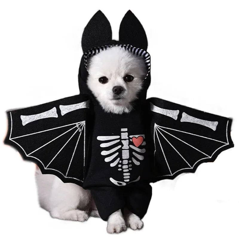 Bat Wing Skeleton Dog Costume