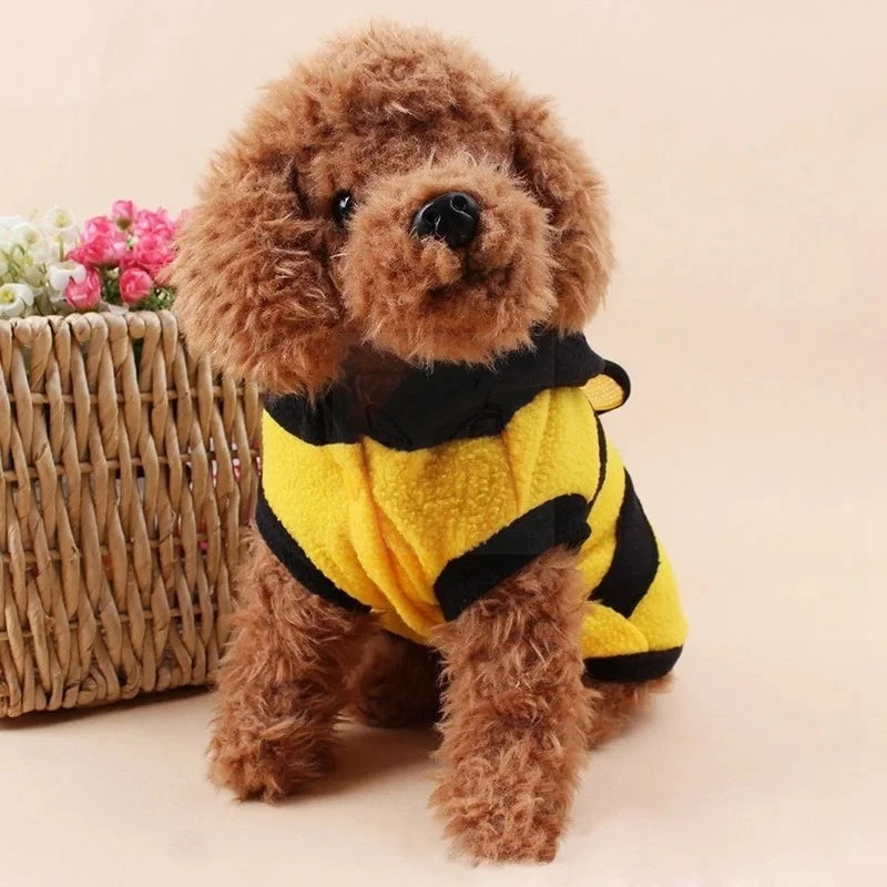 Bumblebee Costume for Dogs and Cats