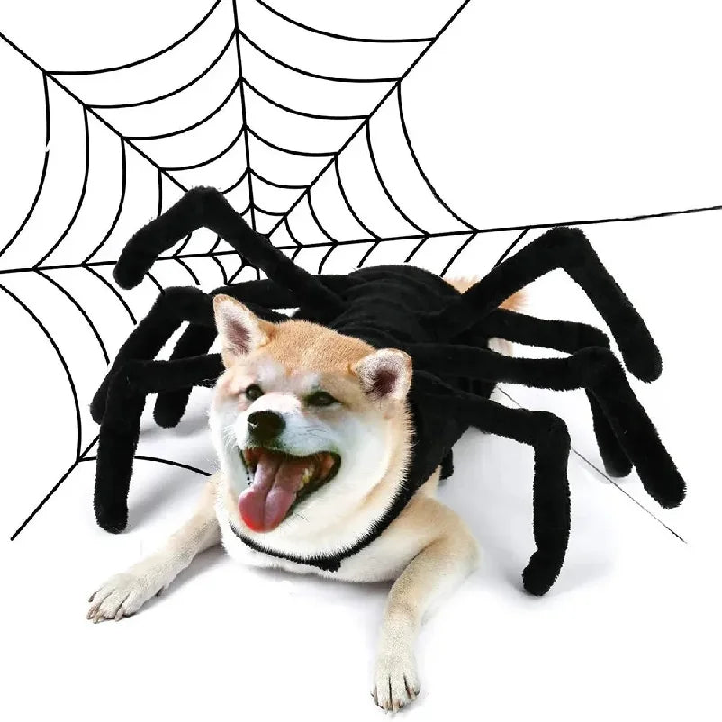 Spider Costume for Dogs and Cats