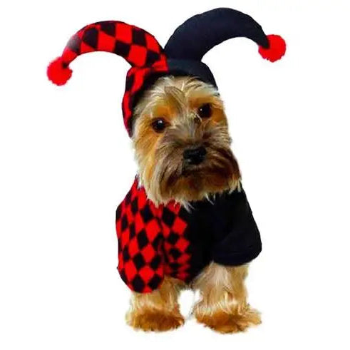 Jester Dog Costume