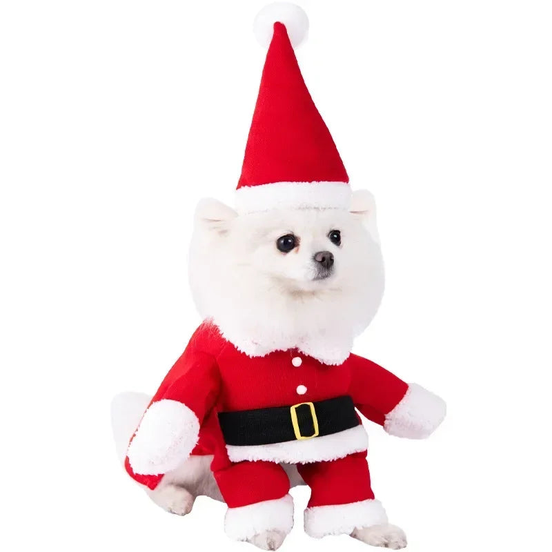 Santa Suit Dog Costume