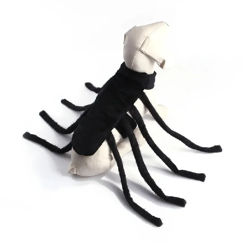 Spider Costume for Dogs and Cats