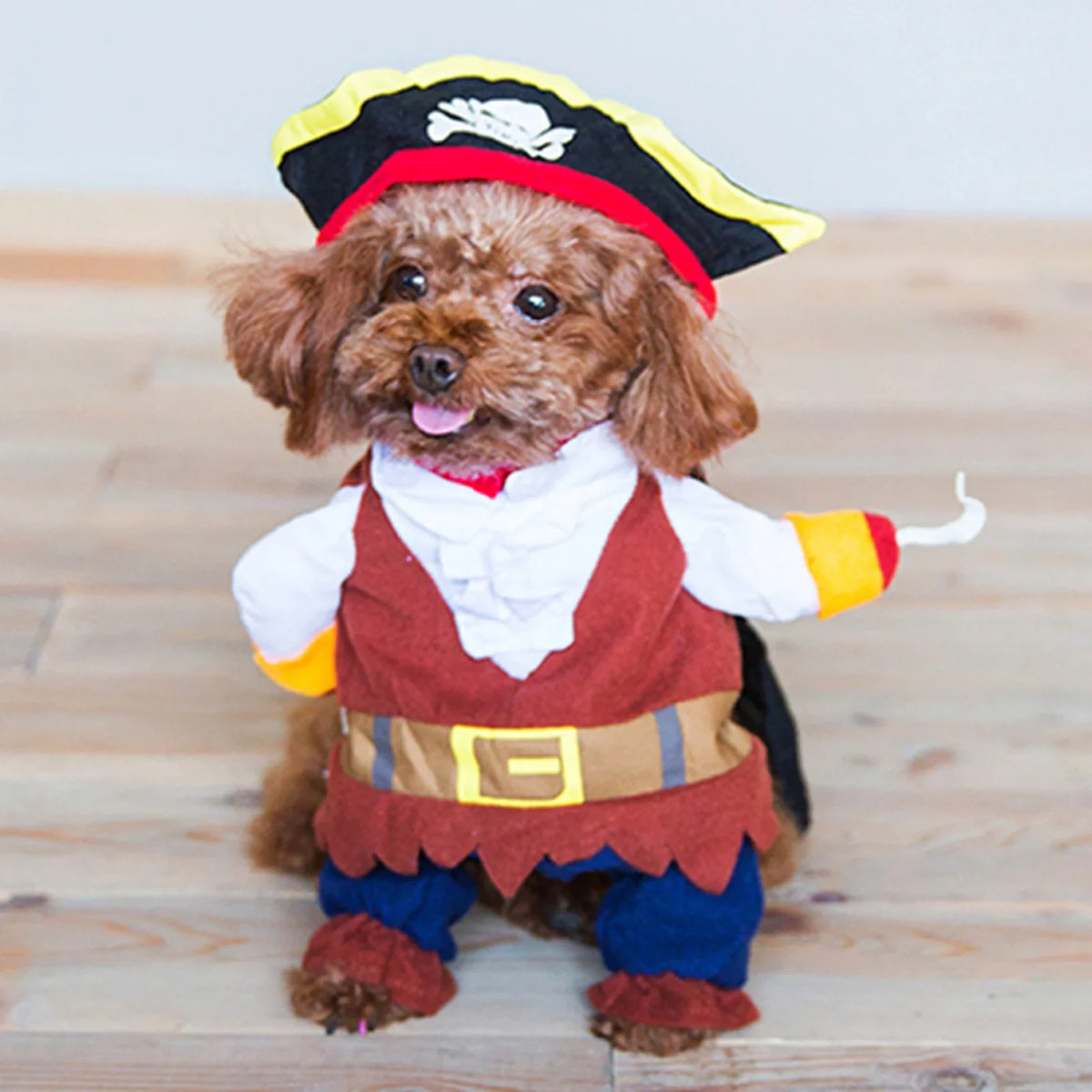 Pirate Costume for Cats and Small Dogs