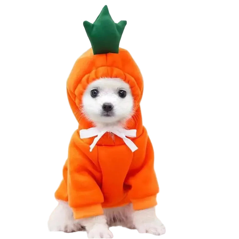 Fruit Dog Hoodie: Apple, Carrot or Pear