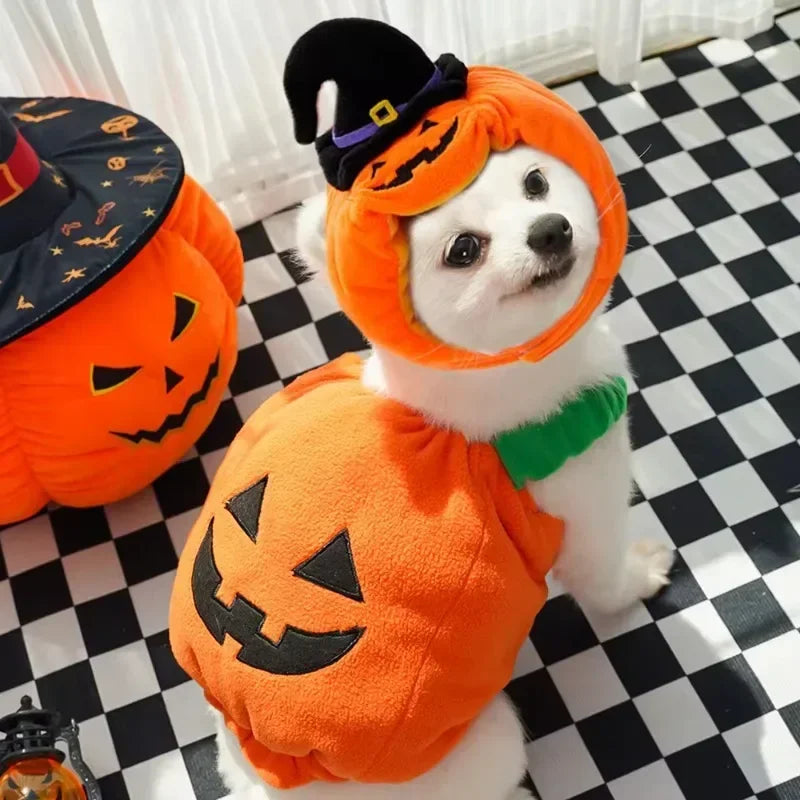 Pumpkin Hoodie Costume for Dogs and Cats