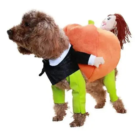 Pumpkin Carrier Dog Costume