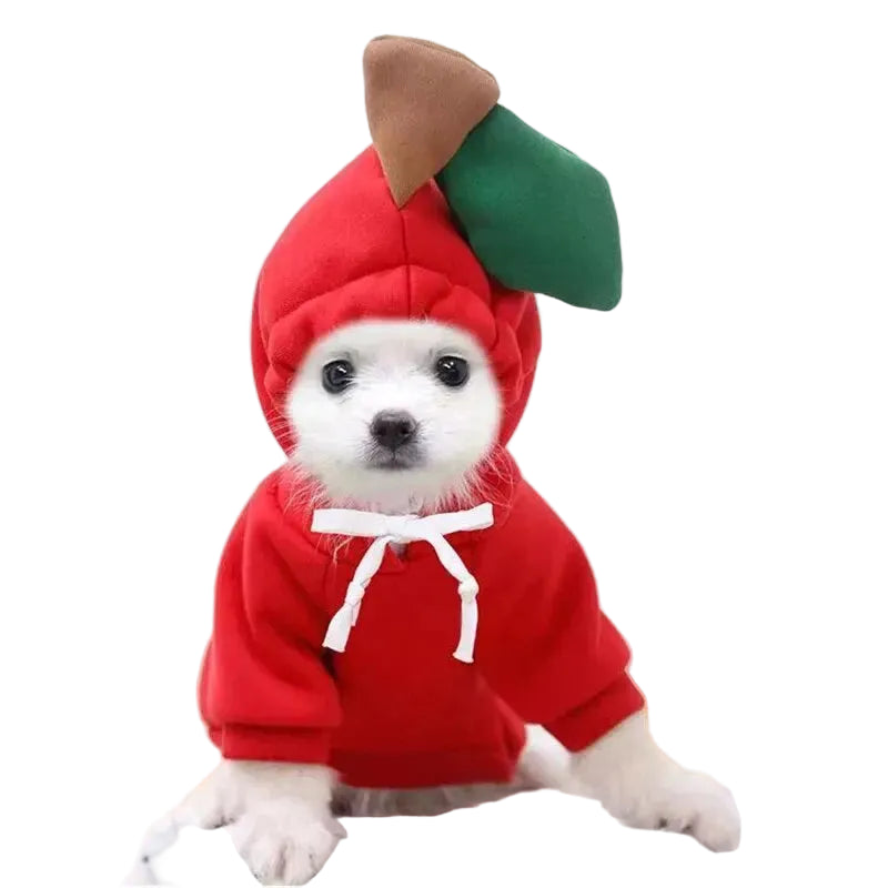 Fruit Dog Hoodie: Apple, Carrot or Pear