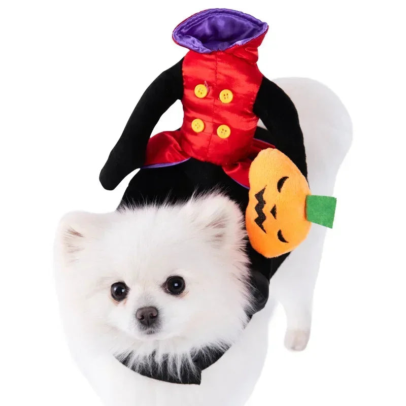 Headless Horseman Dog Costume