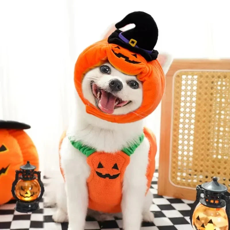 Pumpkin Hoodie Costume for Dogs and Cats