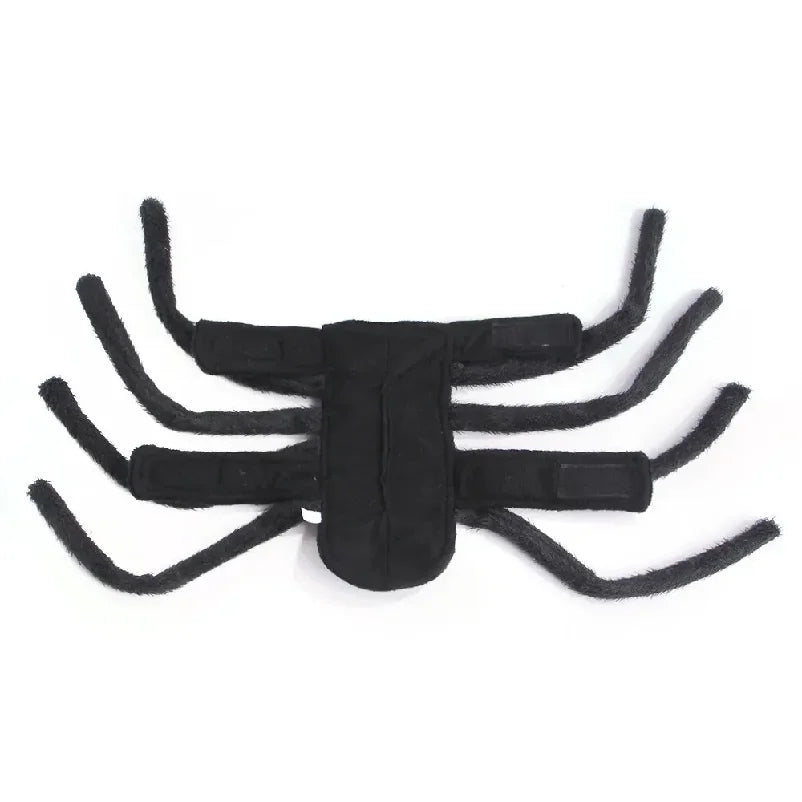 Spider Costume for Dogs and Cats