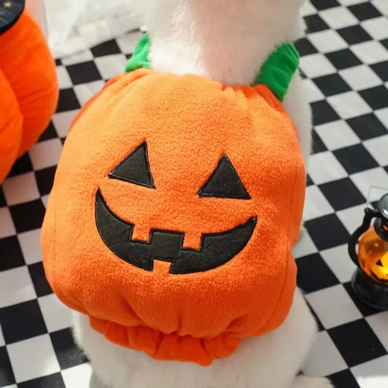 Pumpkin Hoodie Costume for Dogs and Cats