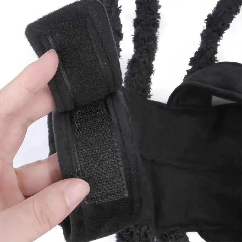 Spider Costume for Dogs and Cats